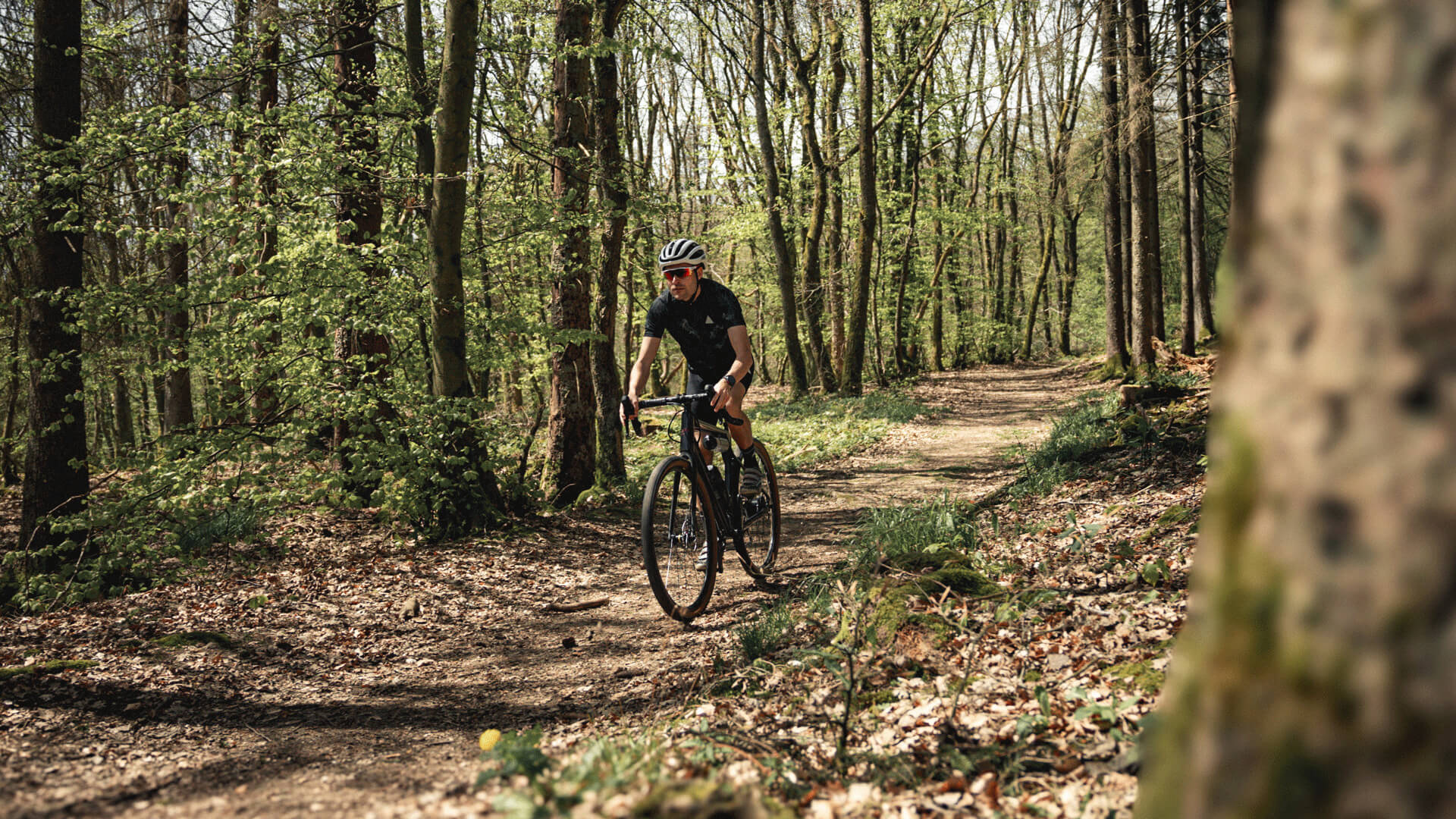 Radfahrer auf einem Gravel E-Bike fährt einen Waldweg entlang