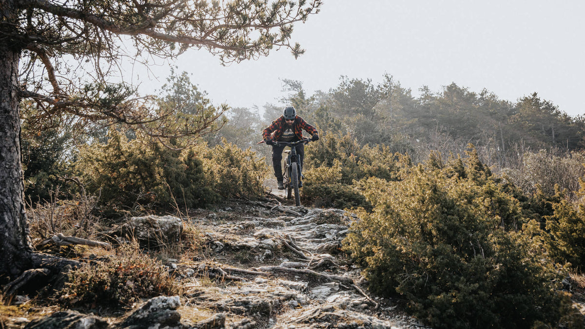 Mountainbiker mit HoheAcht E-MTB springt offroad über Wurzeln