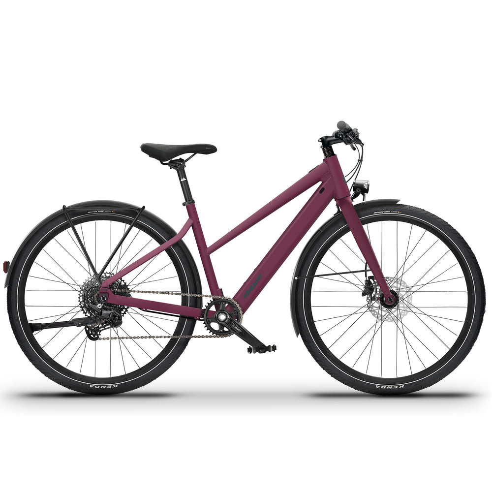Produktbild eines HoheAcht LUMO Terra | Trapez E-Bike in der Variante " Bergherz "