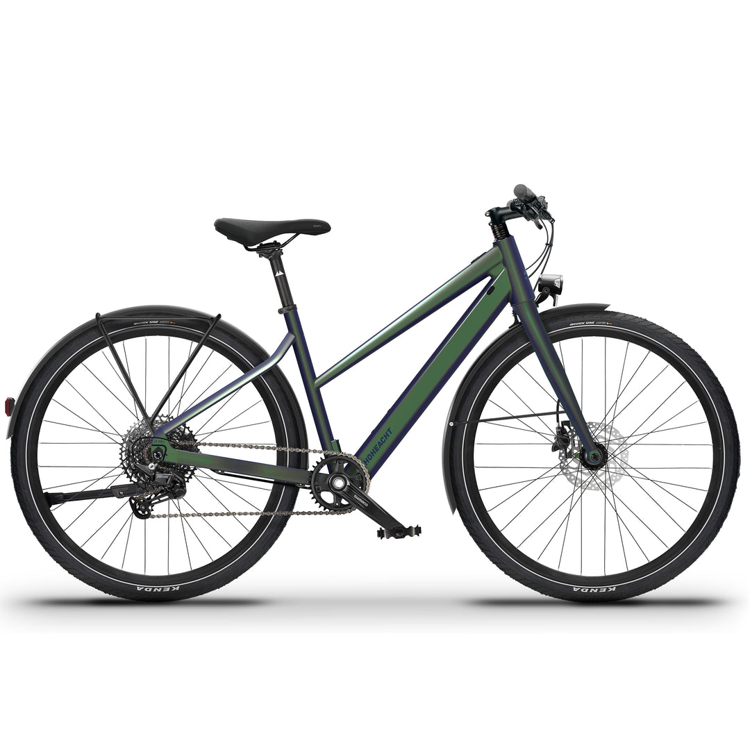 Produktbild eines HoheAcht LUMO Terra | Trapez E-Bike in der Variante " Rosenkäfer "