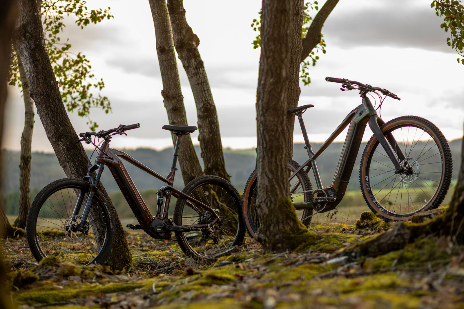 Faktencheck: Unterschied Hardtail vs. Fully