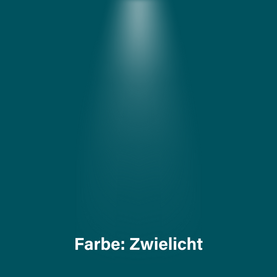 Lackstift für alle HoheAcht Räder - HoheAcht