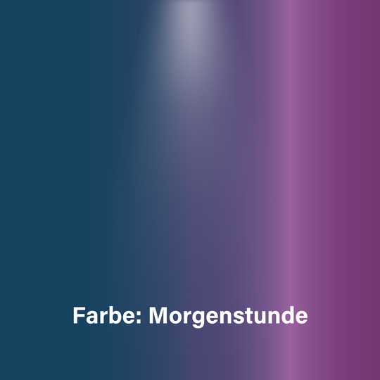 Lackstift für alle HoheAcht Räder - HoheAcht